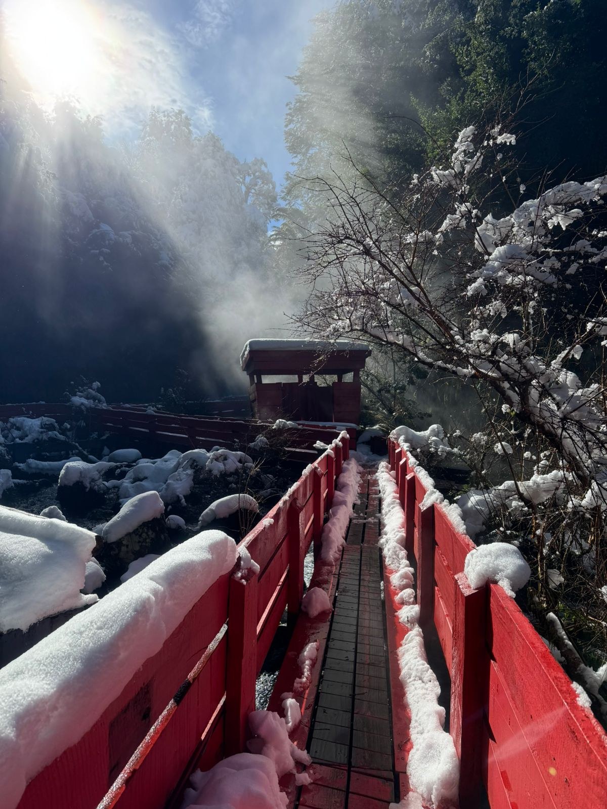 Fotografía real de Huilo Huilo 9