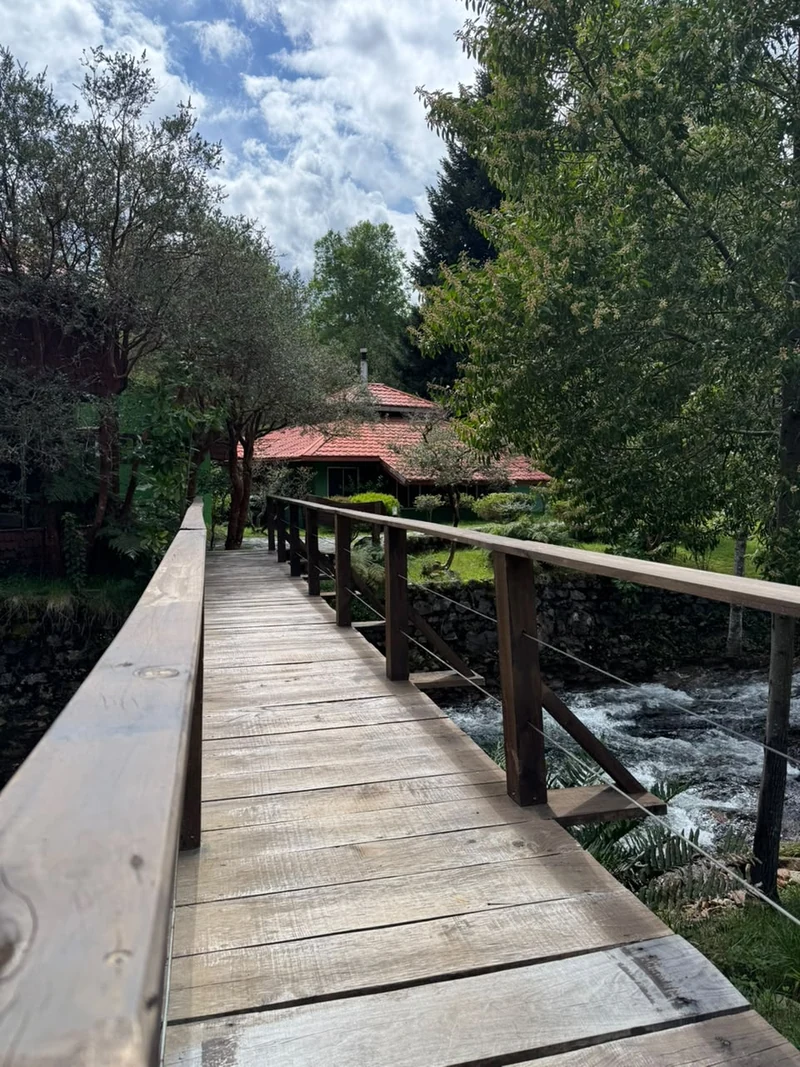 Pasarela de madera sobre el río en Termas Coñaripe