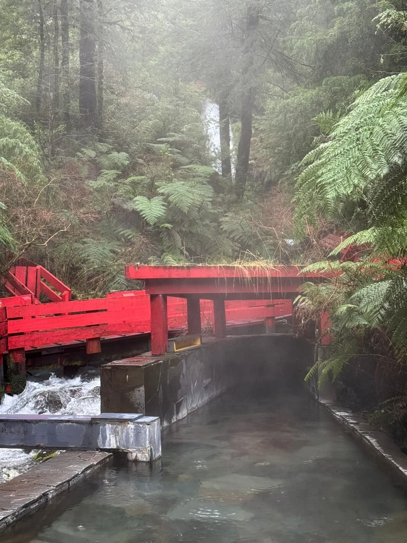 Termas Martini