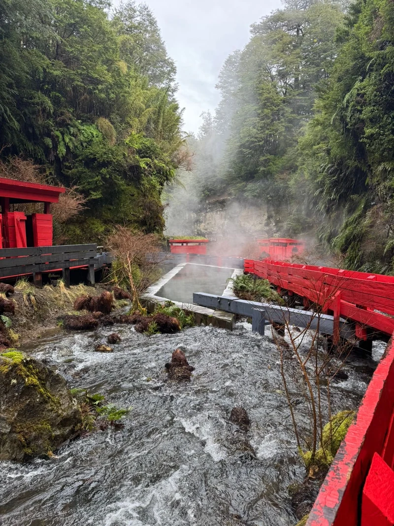 Pasarelas rojas junto al agua y bosque nativo de Termas Martini