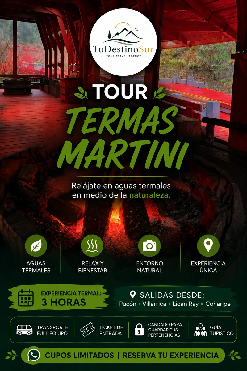 Afiche informativo del tour Termas Martini