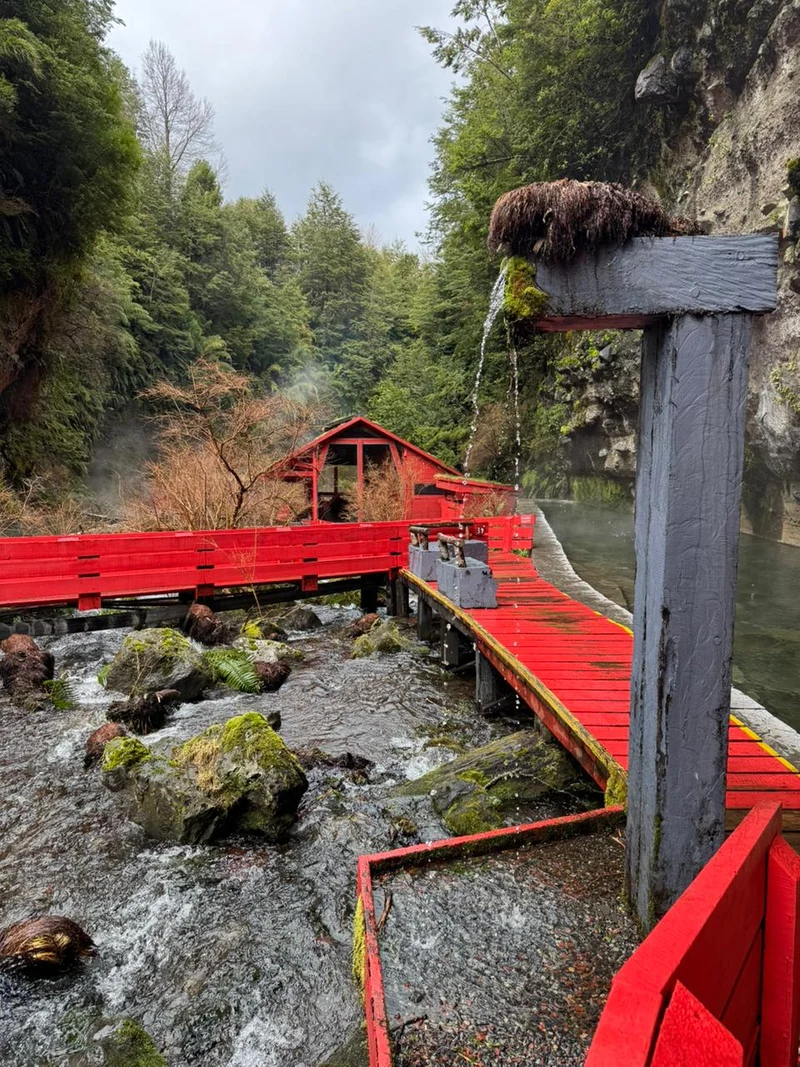 Termas Martini