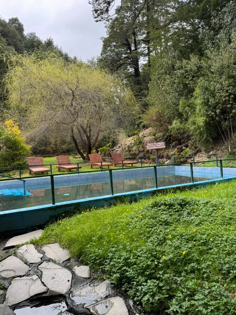 Piscina exterior de Termas Vergara entre jardines y bancos de madera