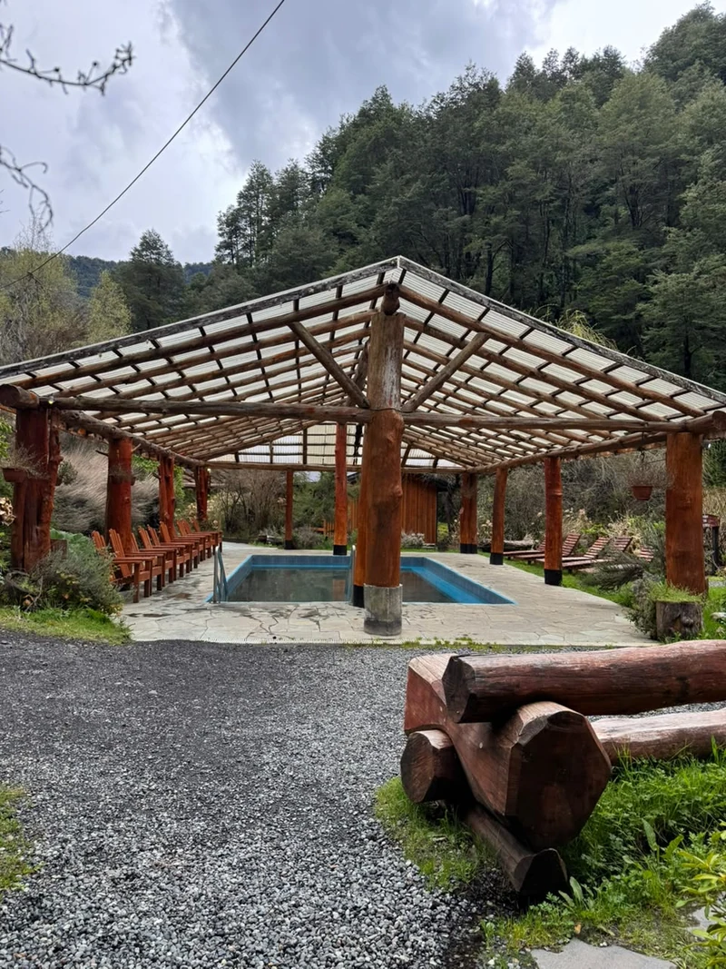 Piscina bajo estructura de madera con sectores de jardín