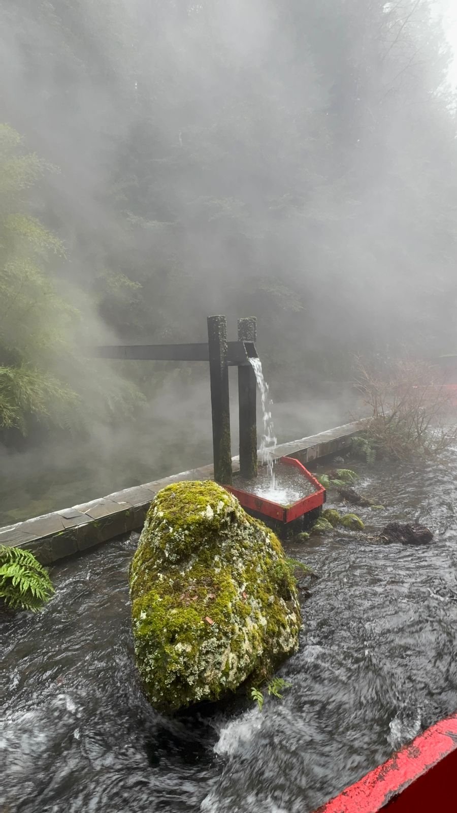 Naturaleza en Termas Geométricas