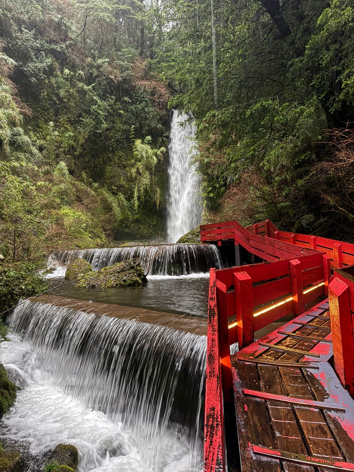 Pasarelas en Termas Geométricas
