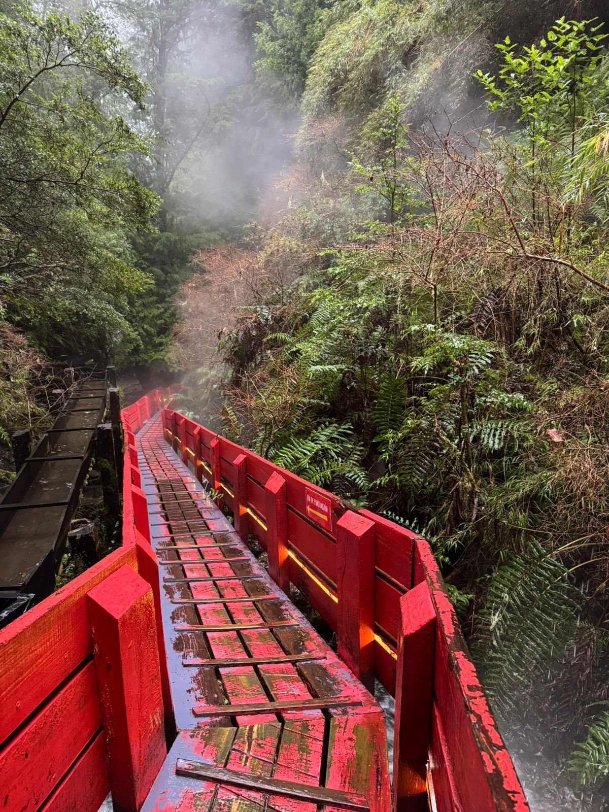 Naturaleza en Termas Geométricas