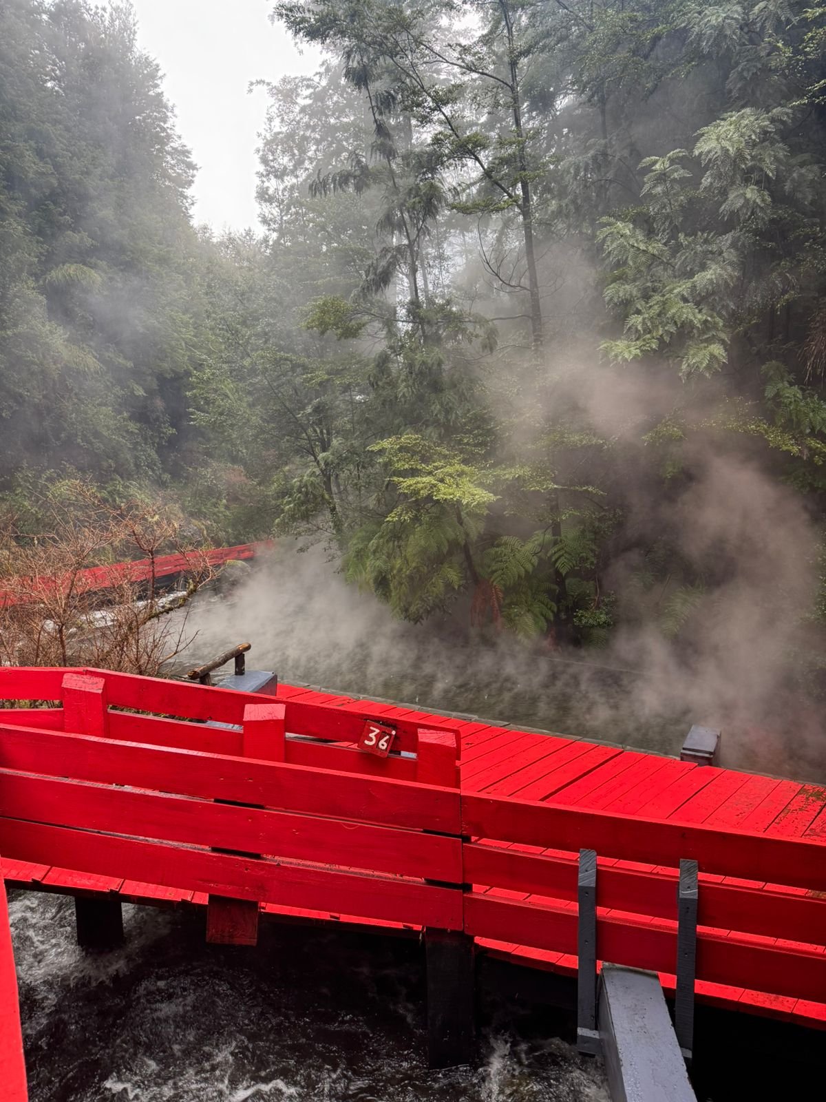 Bosque termal en Termas Geométricas