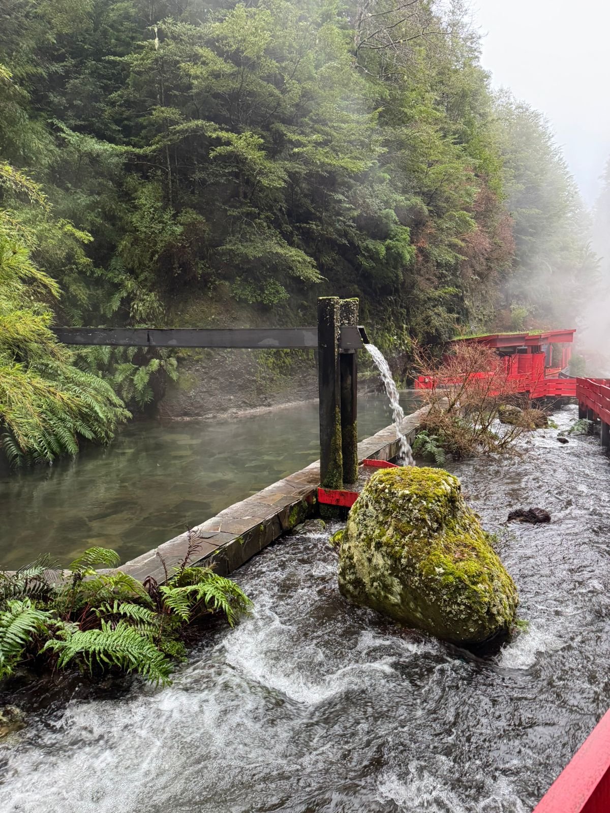 Naturaleza en Termas Geométricas