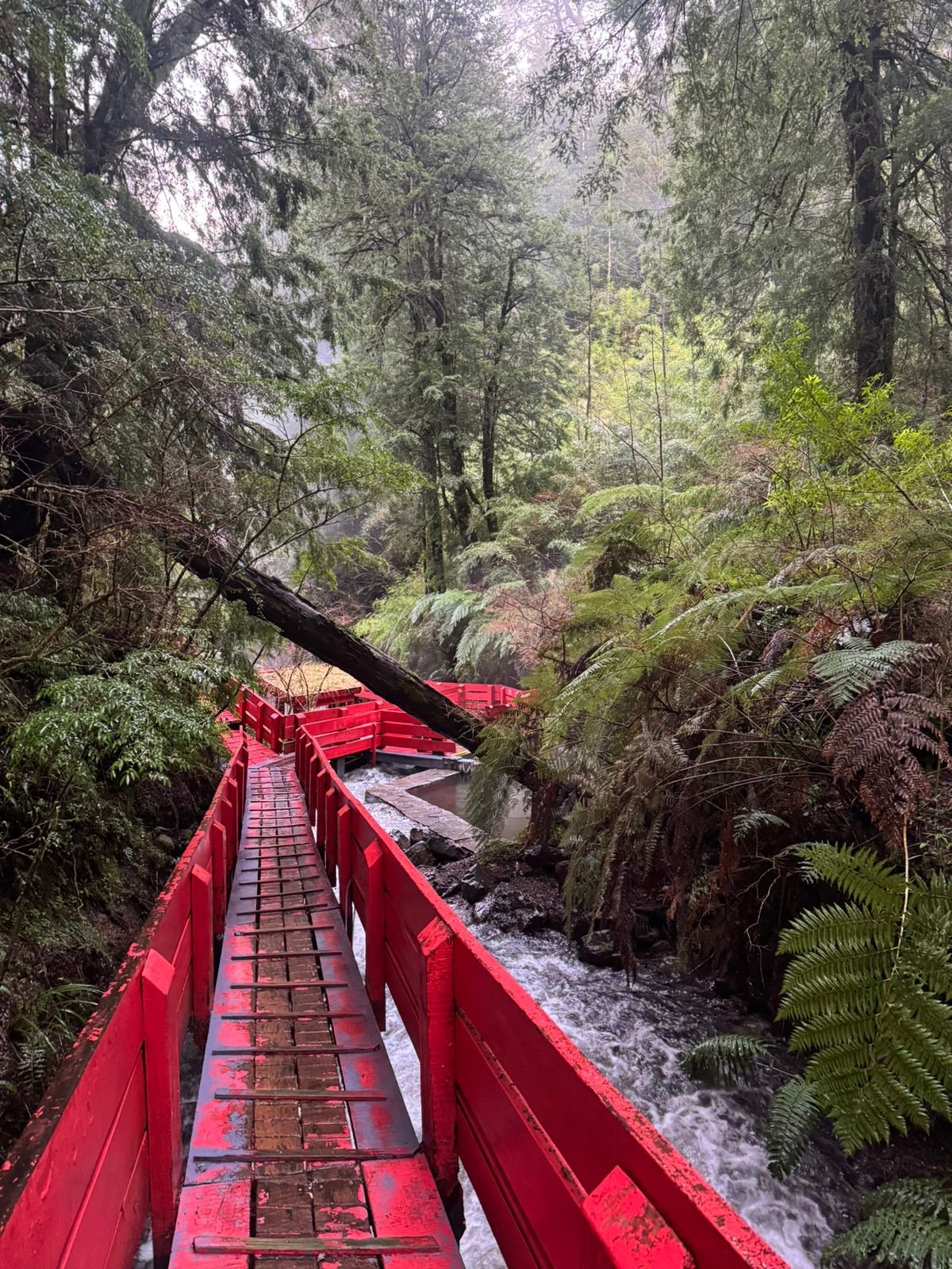 Relax & bienestar en Termas Geométricas
