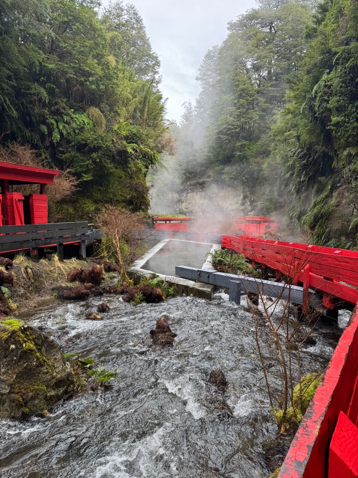 Aguas termales en Termas Geométricas