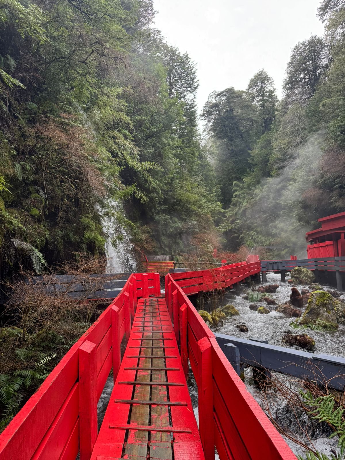 Naturaleza en Termas Geométricas