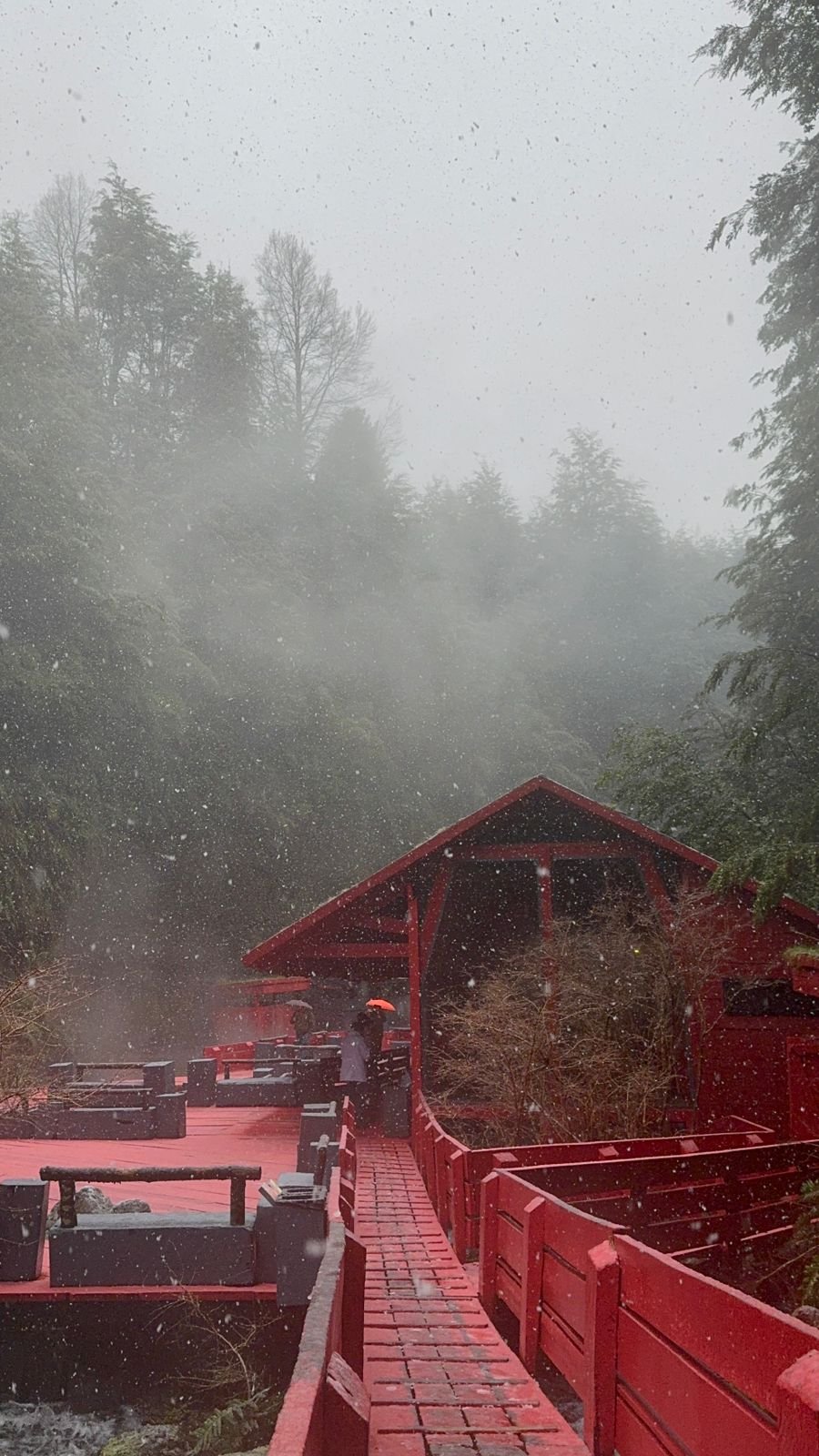 Pasarelas en Termas Geométricas