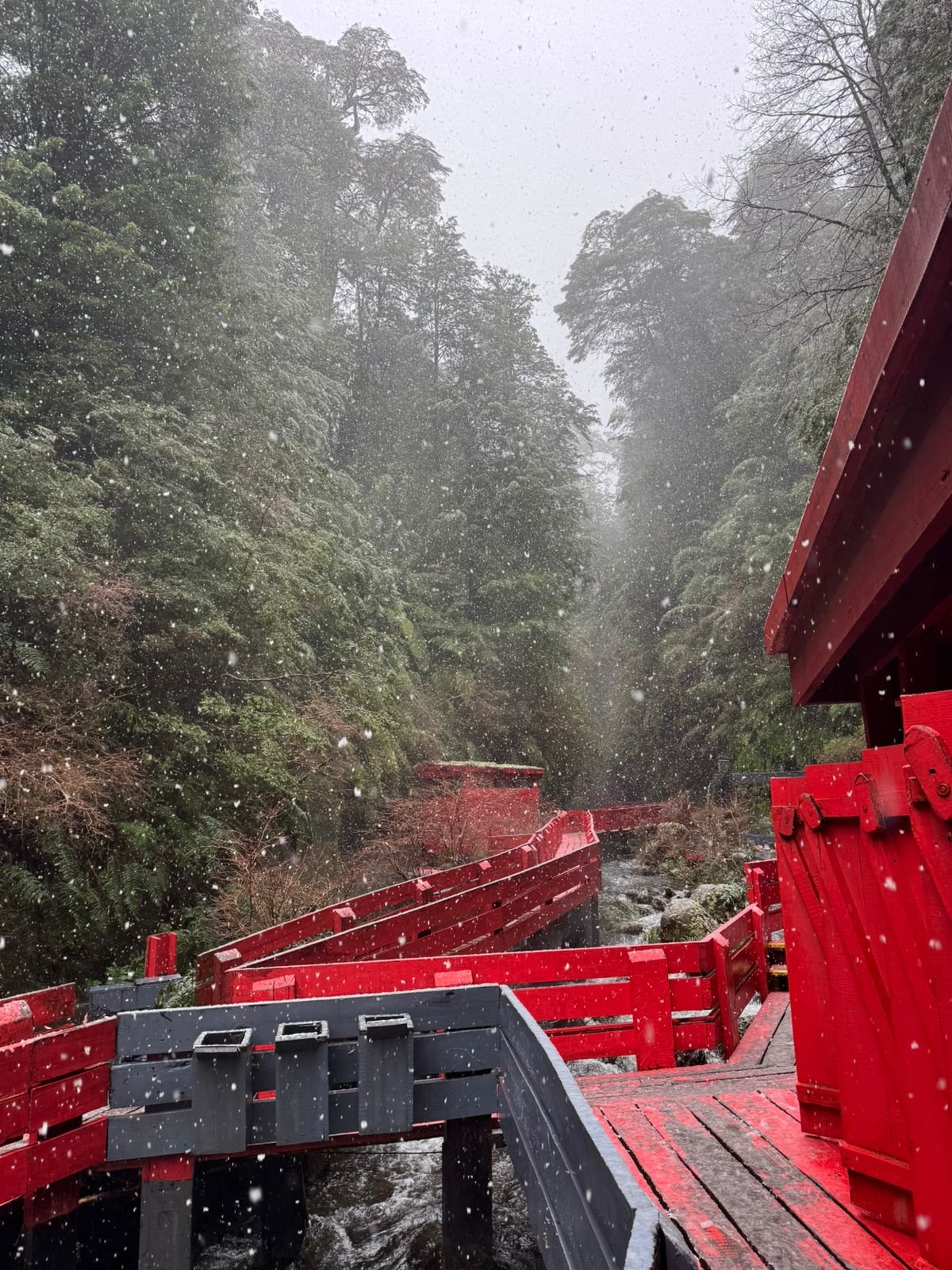 Naturaleza en Termas Geométricas