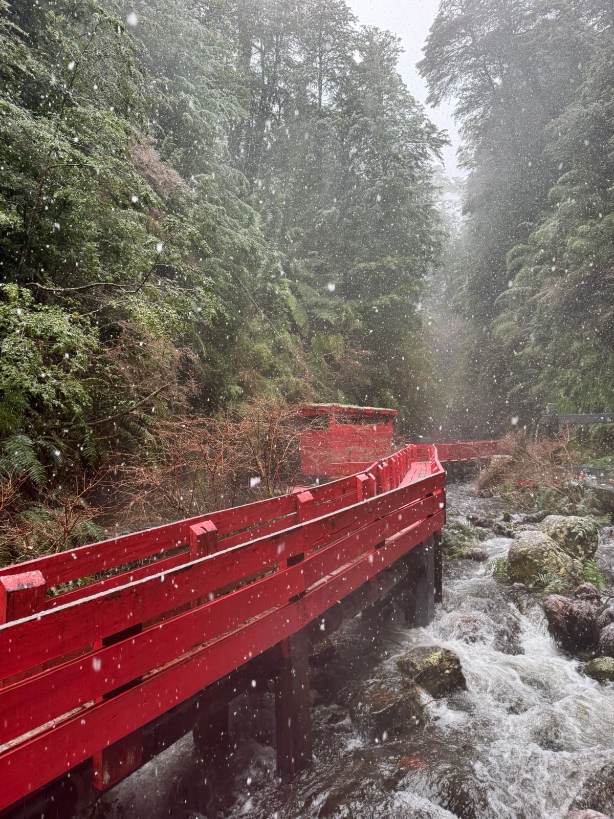 Experiencia termal en Termas Geométricas